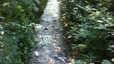 Trapezgerinne der Naturversuchsanlage