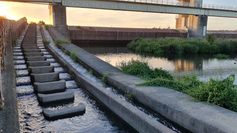 Fischtreppe an einer Stauanlage