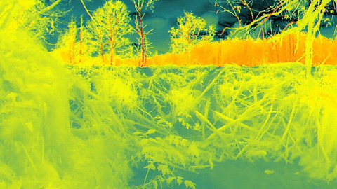 Infrarotaufnahme von einem Biberdamm von unterstrom