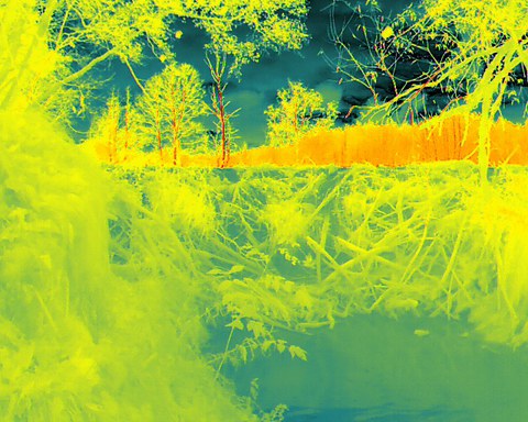 Infrarotaufnahme von einem Biberdamm von unterstrom