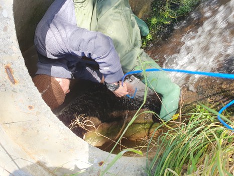 Abflussmessungen an einem Durchlass