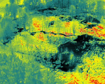 Infrarotaufnahme eines Biber-Feuchtgebiets aus der Vogelperspektive