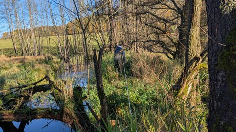 Vermessung der Biberdämme