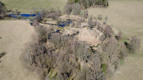 Biber-Feuchtgebiet am Lisci potok von oben
