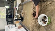 Kinder bauen selbst Dämme