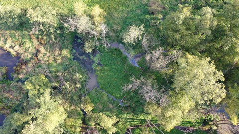 Biberburg mit Teich am HRB Friedrichswalde-Ottendorf aus der Vogelperspektive