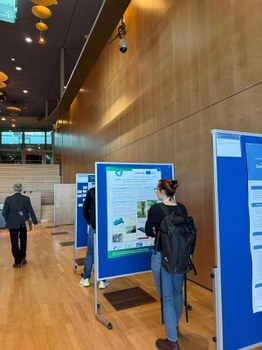 Eine Konferenzteilnehmerin liest sich das BIBOB-Poster durch.