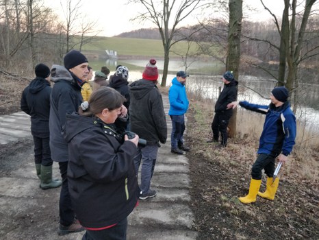 Biberstandort am HWRB Friedrichswalde-Ottendorf