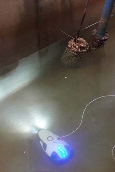 Messeinsatz mit einem Tauchboot