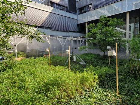 Zerstäuberanlage Nr. 1 von der Seite