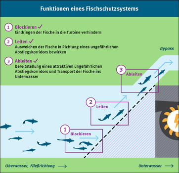 The functions of a fish protection system are defined as blocking (preventing fish from entering the turbine), guiding (causing the fish to move towards a safe downstream corridor) and diverting (providing an attractive, safe downstream corridor and trans
