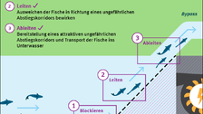 The functions of a fish protection system are defined as blocking (preventing fish from entering the turbine), guiding (causing the fish to move towards a safe downstream corridor) and diverting (providing an attractive, safe downstream corridor and trans