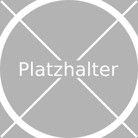 Platzhalter Bild