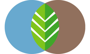 FUN*-Logo (blau, grün, braun)