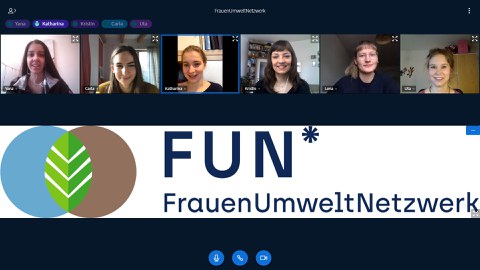 Screenshot, virtuelles Treffen, online Seminar, Web Kamera, Team-Meating, Logo, Arbeitstreffen