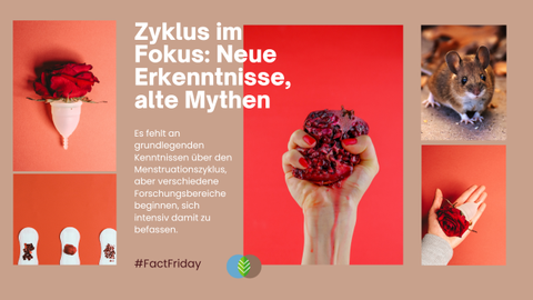 #FactFriday: Zyklus im Fokus