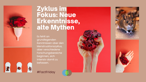 #FactFriday: Zyklus im Fokus