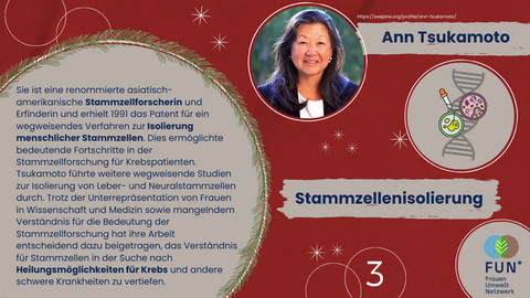 FactFriday zu Ann Tsukamoto