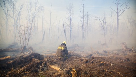 Foto eines Feuerwehrmannes, der inmitten eines abgebrannten vernebelten Waldes hockt.