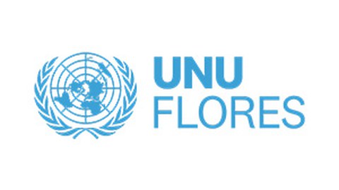 Logo UNU-FLORES