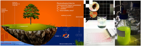 Chemical Hazard Assessment and Ecotoxocology