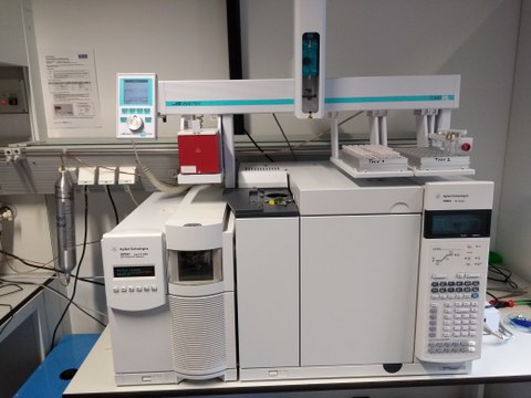 GC-MS Agilent 5975C