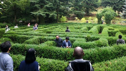 Stipendiaten in Heckenlabyrinth