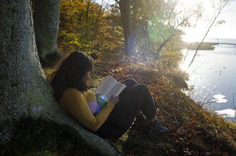 Fellows AvH 2024 Vilm reading a book.