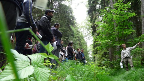 Participants in the forest during an excursion on soil protection and forestry