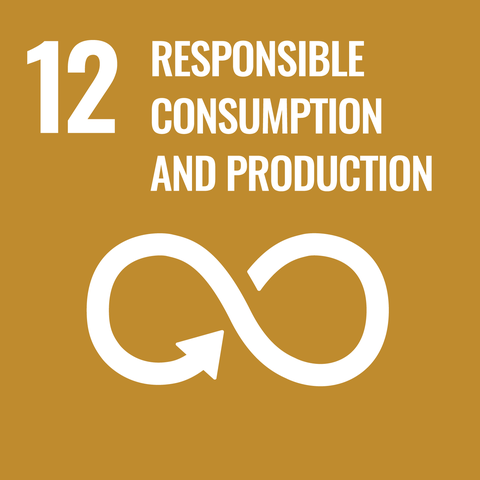 Sustainable Development Goal 12, titled "responsible consumption and production"