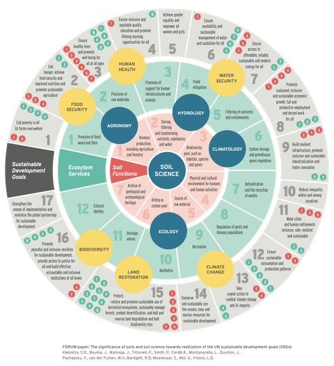 The significance of soils and soil science for the SDGs