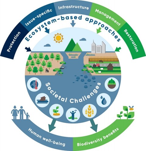 Ecosystem-based approaches