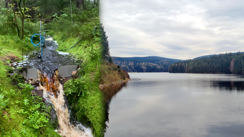 l. stream with concentration of dissolved organic matter; r. dam Sosa