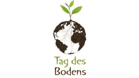 Boden des Jahres