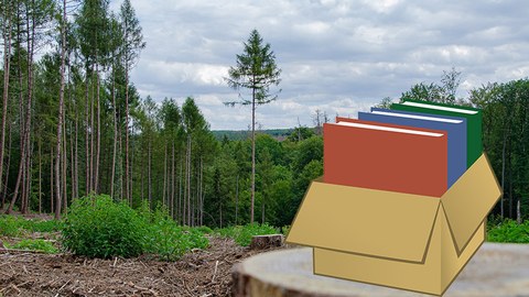 Kiste mit Büchern im Wald