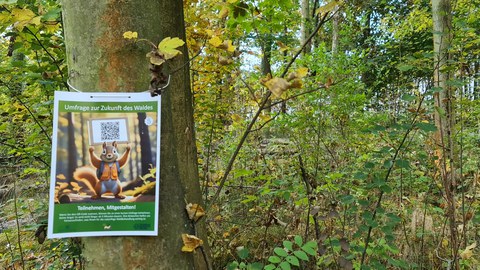 Schild am Baum