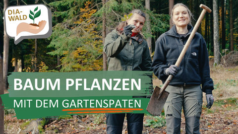 2 Frauen zeigen einen Gartenspaten und eine kleine Eiche