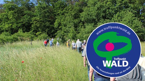 Logo Treffpunkt Wald vor Wiese, Wald und Menschen