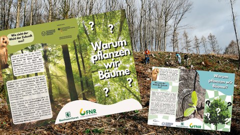 Flyeransichten