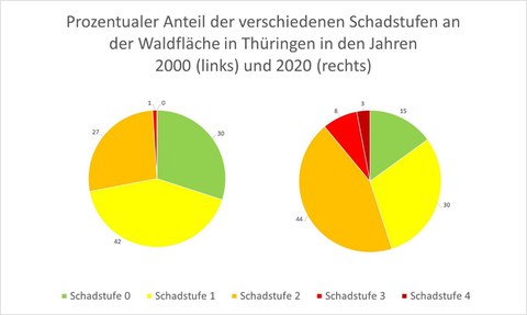 Diagramm zum Anteil der geschädigten Waldflächen