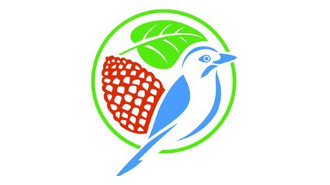 Logo Professur für Waldbau