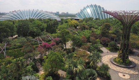 Singapur