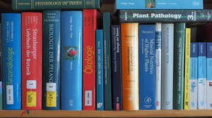 Bücher