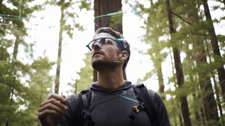 ARinForestry