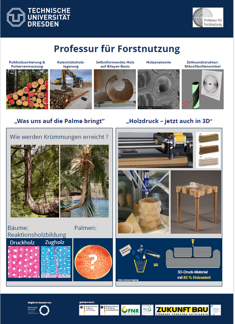 Das Bild zeigt die aktuellen Forschungsthemen der Professur für Forstnutzung.