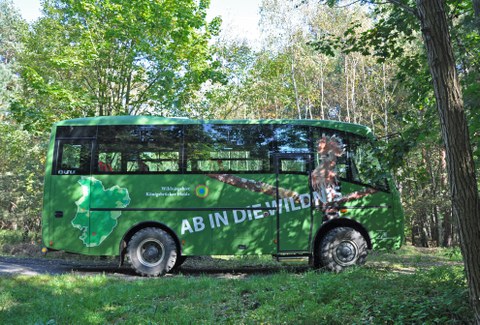 Safaribus der NSG