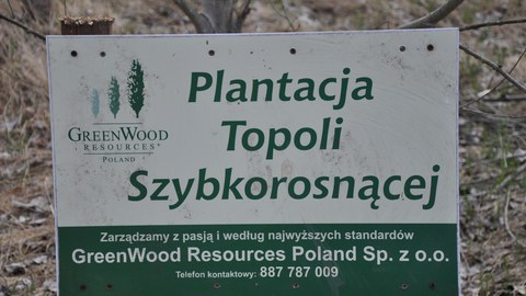 Plantage Greenwood in Polen