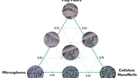 Schema Cellstor