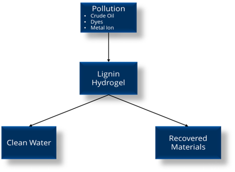 Bild zum Thema des Seminars, Reinigung von Wasser durch Ligninhydrogele                                                                              