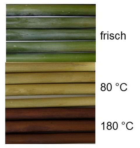 thermisch modifizierter Bambus mit seinen Farbveränderungen